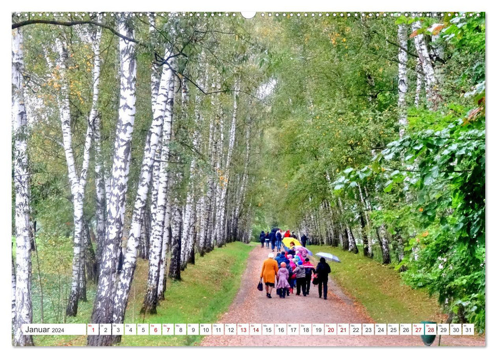 Yasnaya Polyana - In the footsteps of Leo Tolstoy in Russia (CALVENDO wall calendar 2024) 