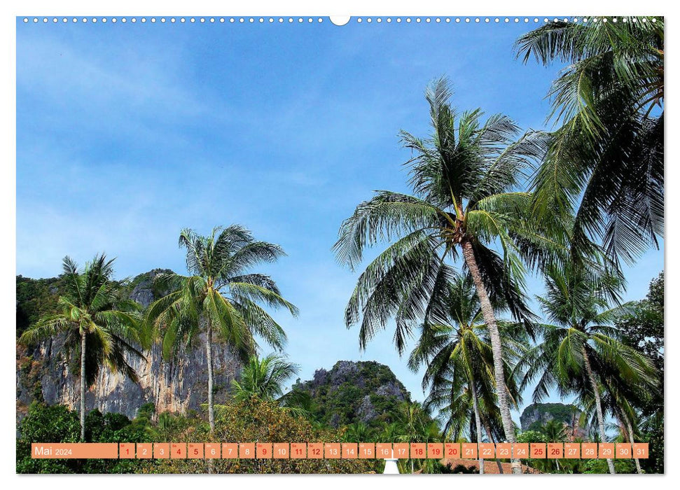 In den Tropen - Ein Blick in die tropische Klimazone (CALVENDO Premium Wandkalender 2024)