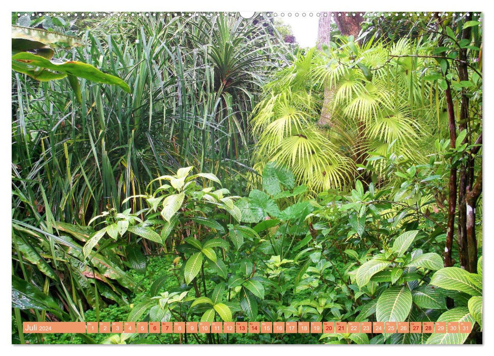 In den Tropen - Ein Blick in die tropische Klimazone (CALVENDO Premium Wandkalender 2024)