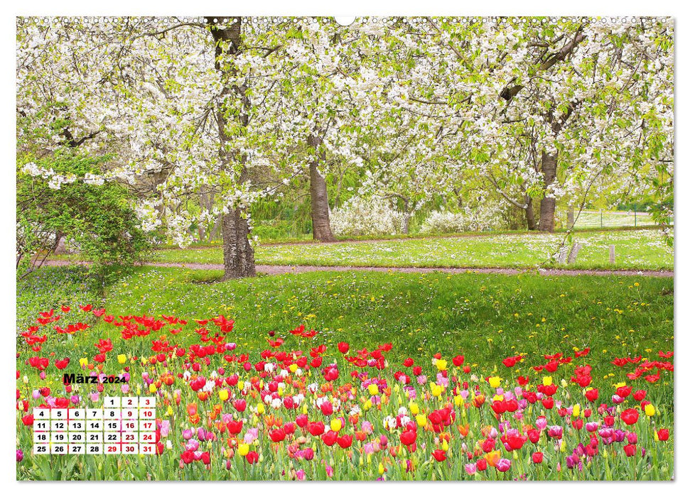 Es blüht im Frühling (CALVENDO Premium Wandkalender 2024)