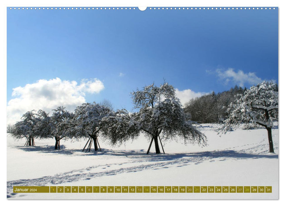Apfelbaum und Streuobstwiesen (CALVENDO Wandkalender 2024)