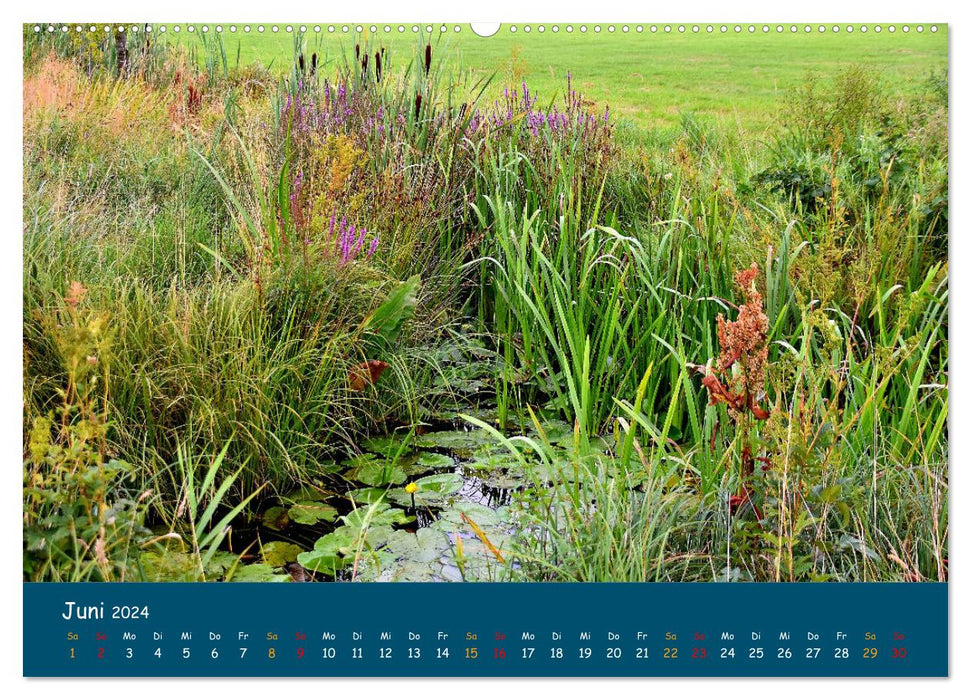 Wümme nature reserve (CALVENDO wall calendar 2024) 