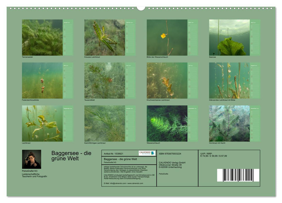 Baggersee - die grüne Welt (CALVENDO Premium Wandkalender 2024)