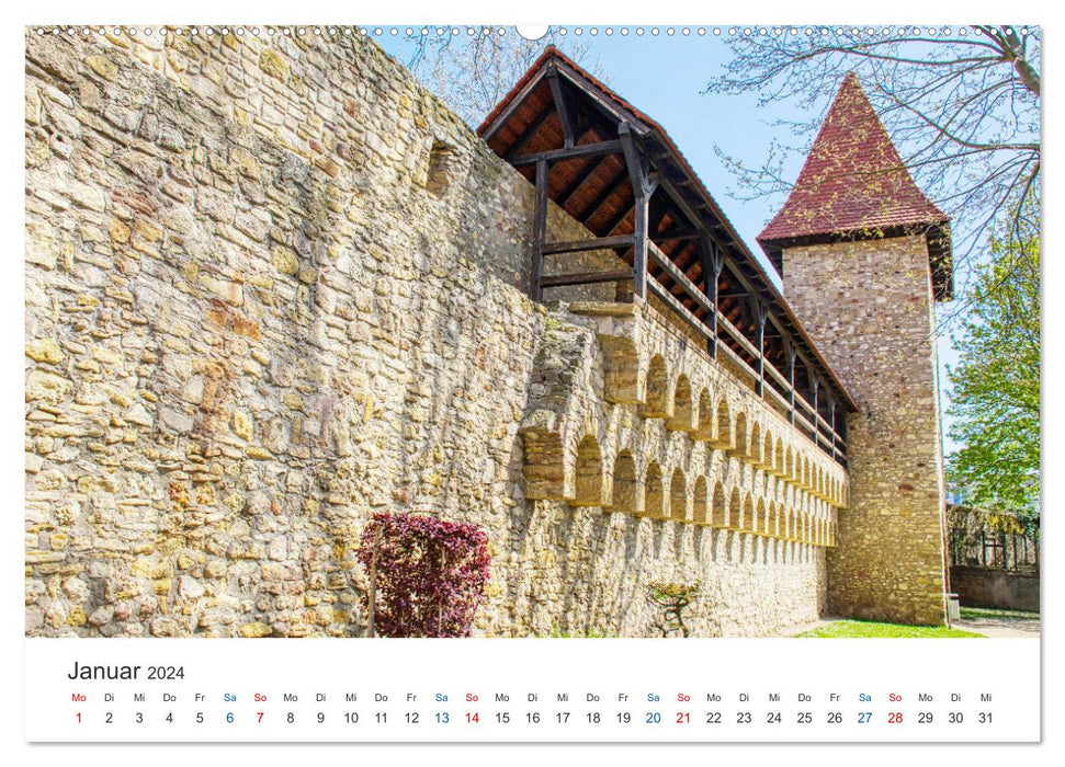 Alzey - Rheinhessen's secret capital (CALVENDO wall calendar 2024) 