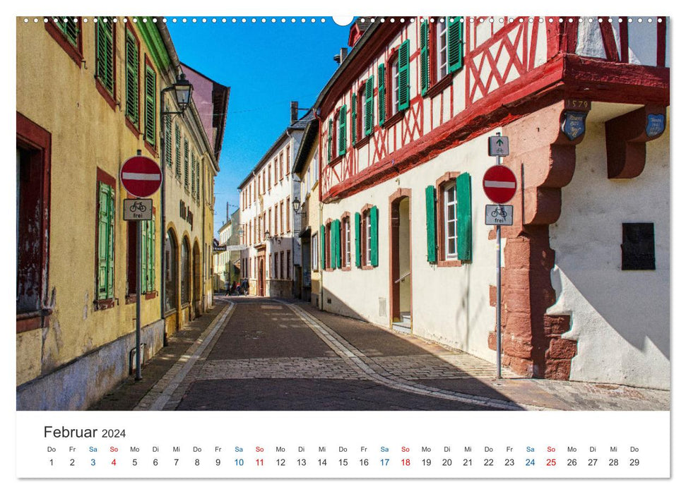 Alzey - Rheinhessens heimliche Hauptstadt (CALVENDO Wandkalender 2024)