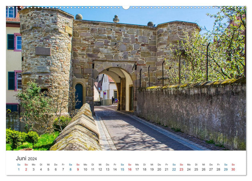 Alzey - Rheinhessen's secret capital (CALVENDO wall calendar 2024) 