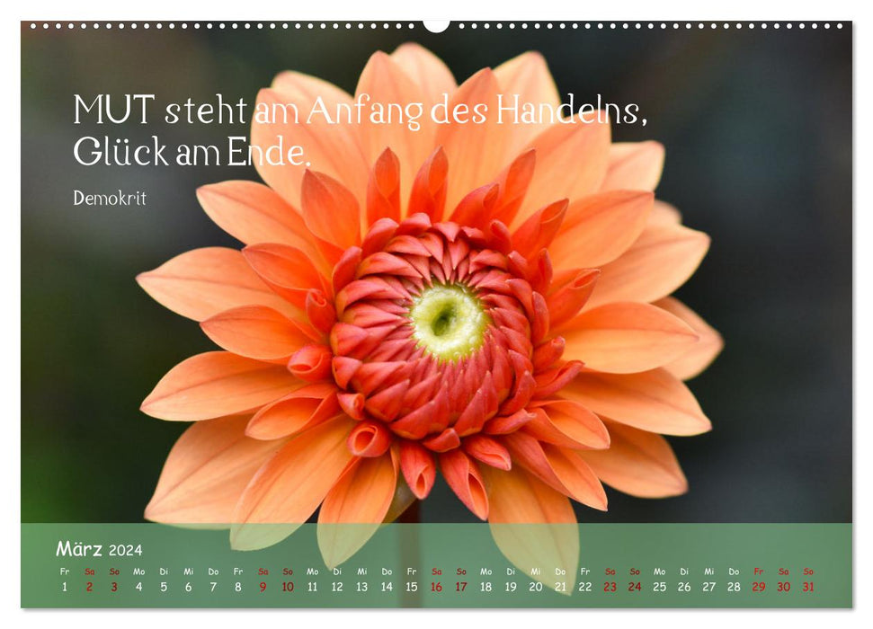 Flower wisdom (CALVENDO wall calendar 2024) 