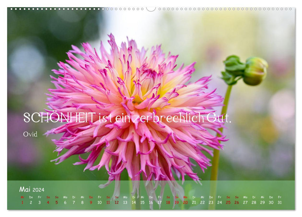 Blütenweisheiten (CALVENDO Wandkalender 2024)
