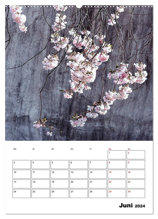 Wallflowers - Poetry in everyday life as a monthly planner (CALVENDO wall calendar 2024) 