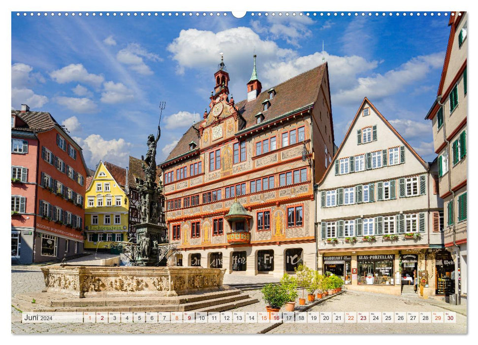 Tübingen Stadtansichten (CALVENDO Wandkalender 2024)