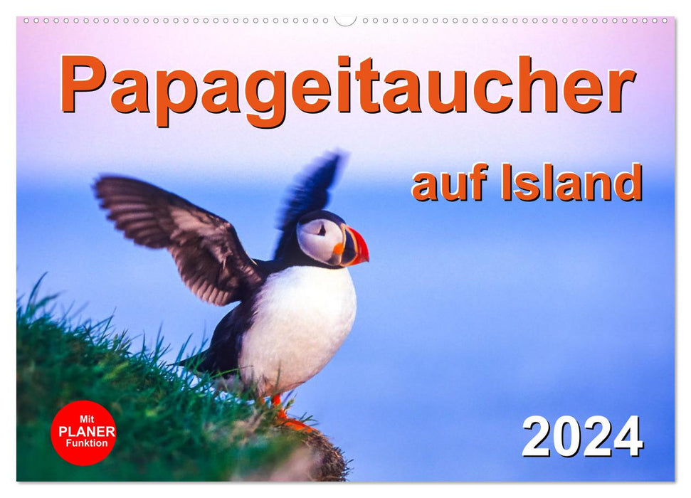 Puffins on Iceland (CALVENDO wall calendar 2024) 