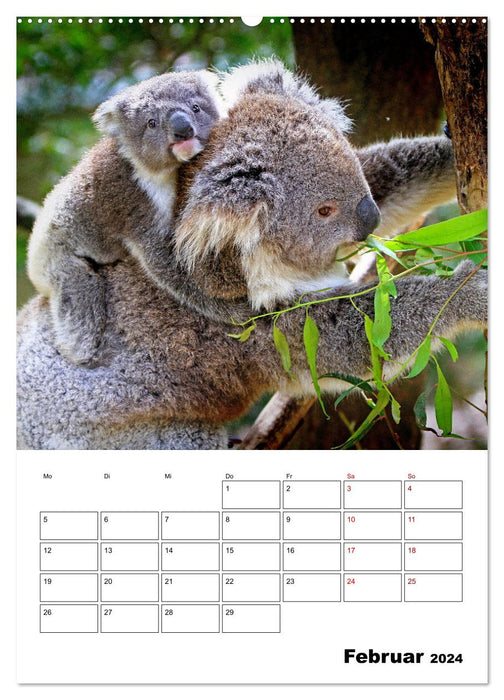 La faune fascinante d'Australie (Calendrier mural CALVENDO Premium 2024) 