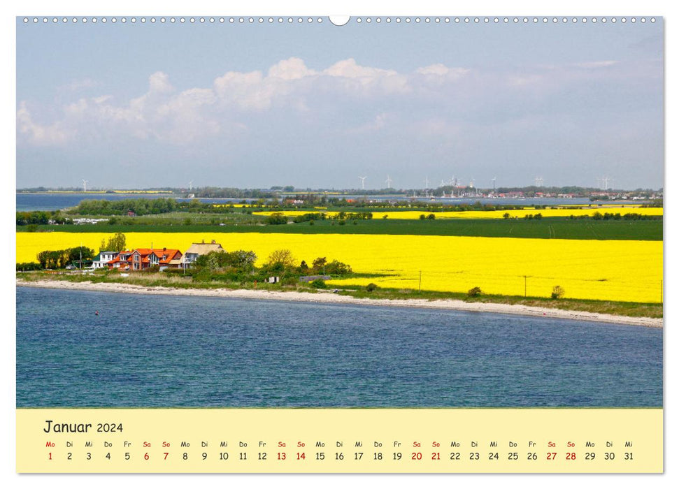 Rapsblüte an der Ostsee (CALVENDO Premium Wandkalender 2024)