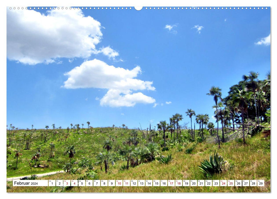 Im Tal der Zuckermühlen - Kubas Weltkulturerbe Valle de los Ingenios (CALVENDO Wandkalender 2024)