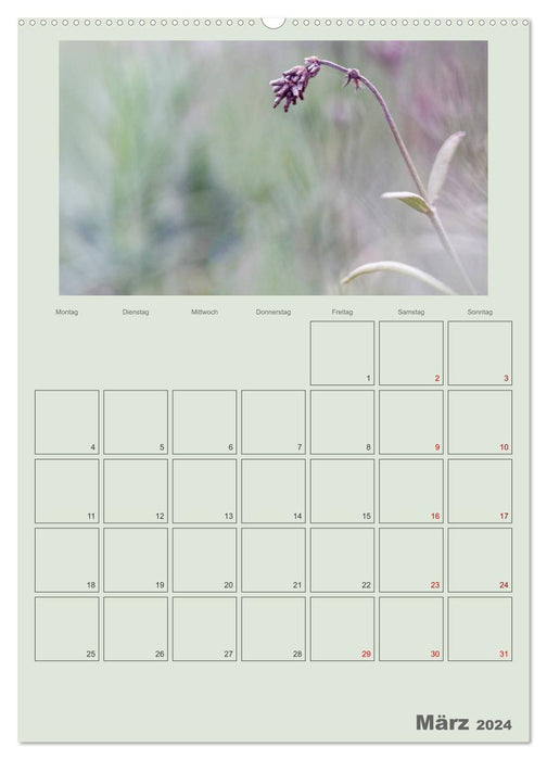 Planificateur de graines sauvages - Magie des fruits sauvages (Calvendo Premium Wall Calendar 2024) 