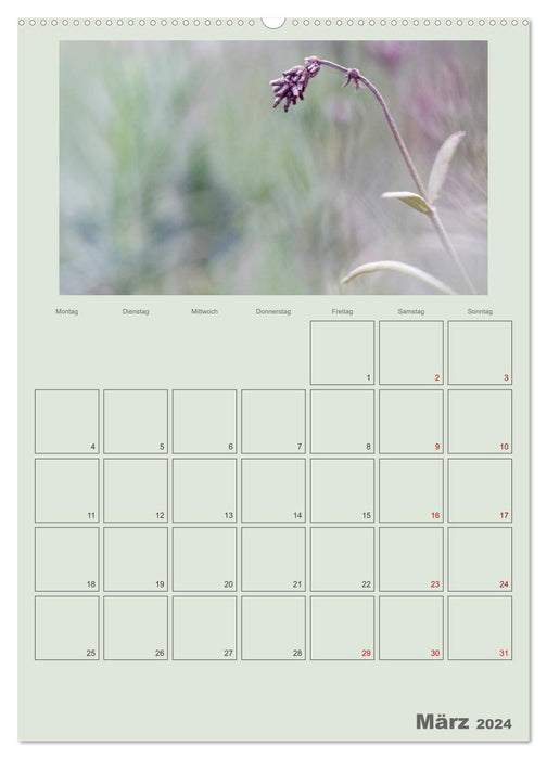 Wildsaatplaner - Zauber der Wildfrüchte (CALVENDO Premium Wandkalender 2024)