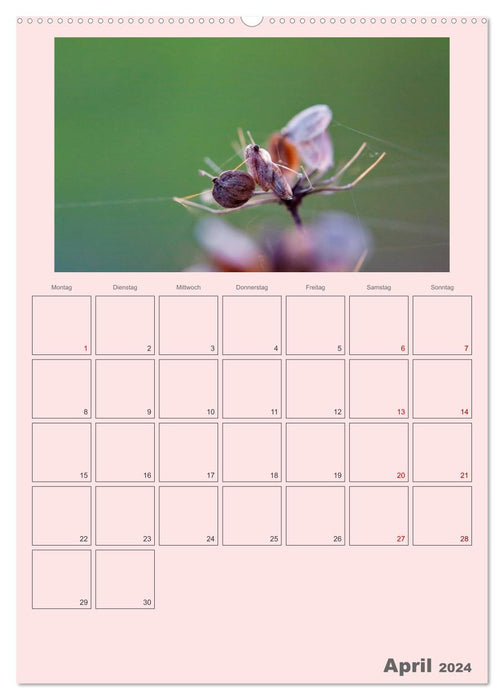 Wildsaatplaner - Zauber der Wildfrüchte (CALVENDO Premium Wandkalender 2024)