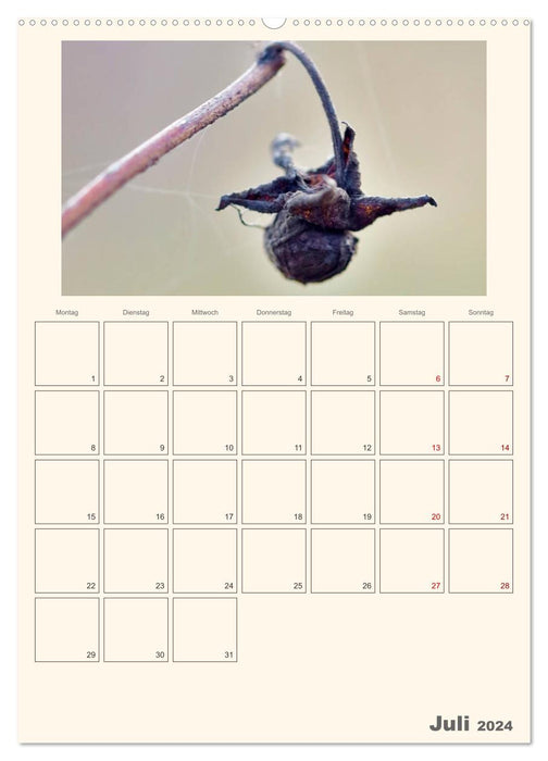 Wildsaatplaner - Zauber der Wildfrüchte (CALVENDO Premium Wandkalender 2024)