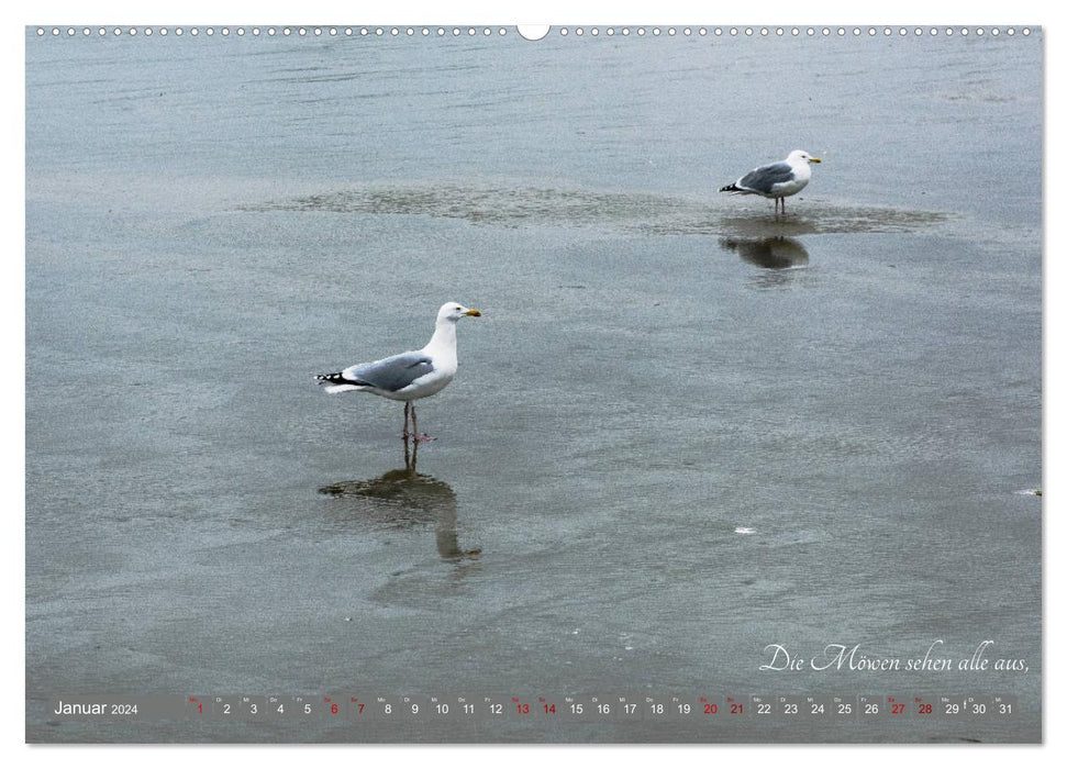 Seagull Song de Christian Morgenstern par fru.ch (Calendrier mural CALVENDO Premium 2024) 