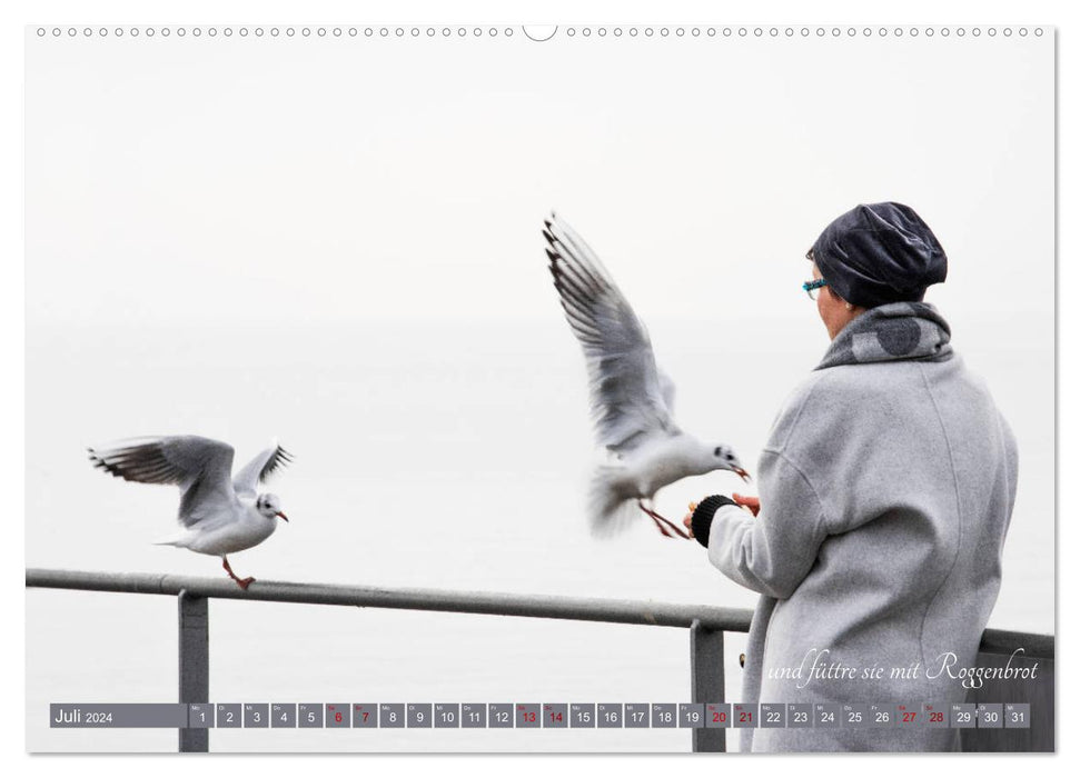 Seagull Song de Christian Morgenstern par fru.ch (Calendrier mural CALVENDO Premium 2024) 