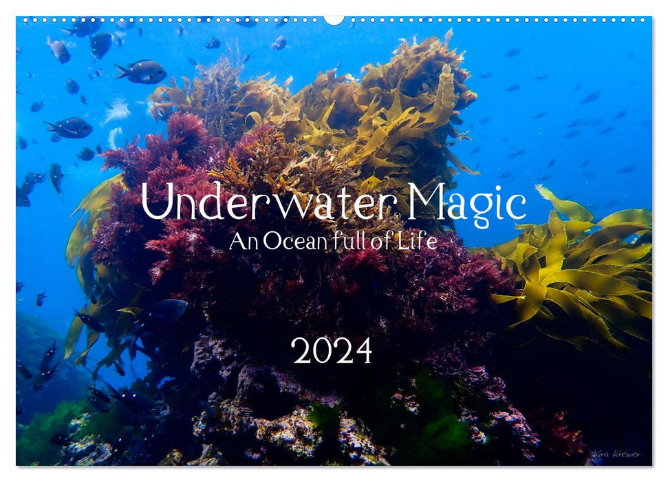 Underwater Magic (CALVENDO Wandkalender 2024)