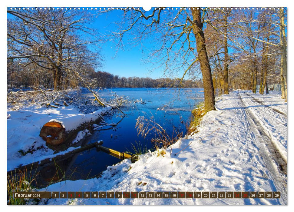 Kamenz - Kultur und Natur erleben und genießen (CALVENDO Wandkalender 2024)