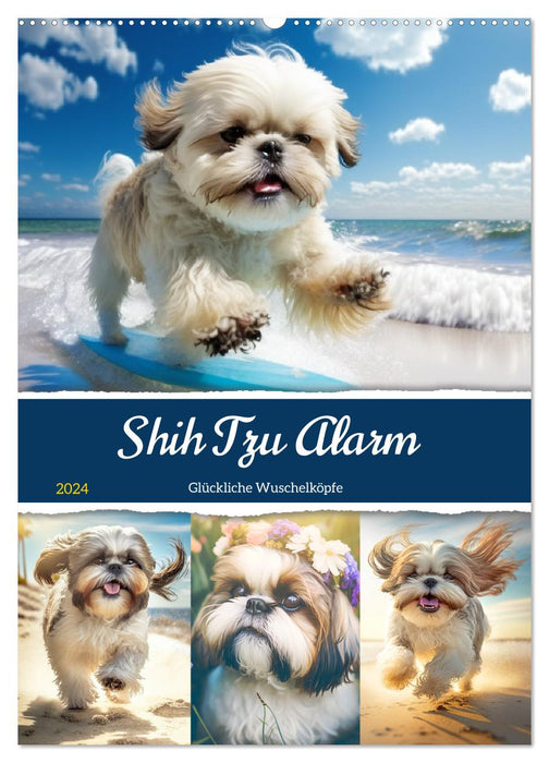Shih Tzu Alarm. Glückliche Wuschelköpfe (CALVENDO Wandkalender 2024)
