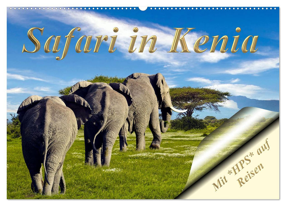 Safari in Kenia (CALVENDO Wandkalender 2024)