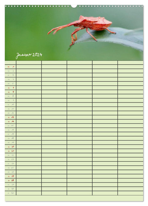 Tierische Gäste (CALVENDO Wandkalender 2024)