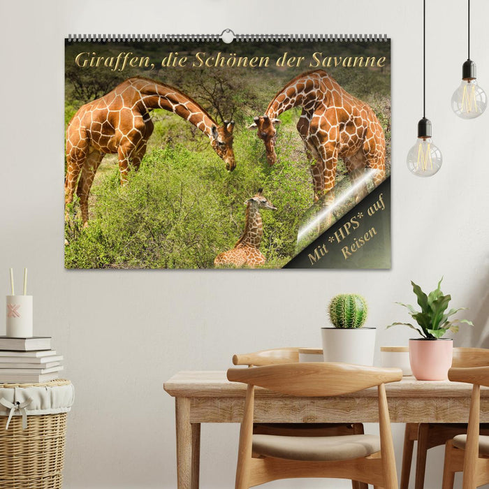 Girafes, les belles de la savane (Calendrier mural CALVENDO 2024) 