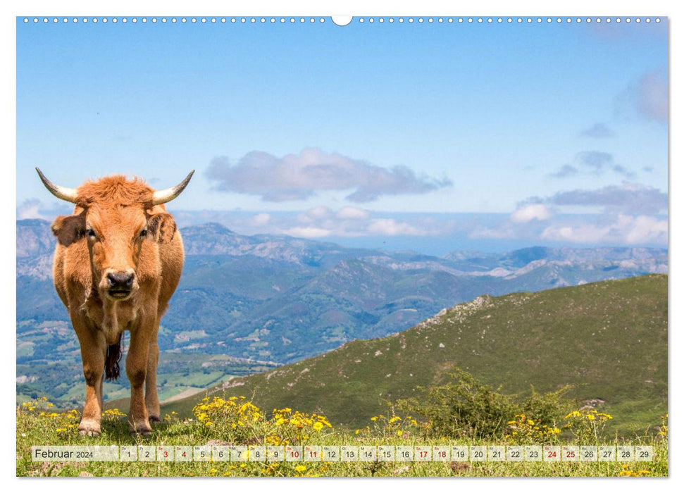 Nordspanien - Wunderschönes Asturien (CALVENDO Premium Wandkalender 2024)