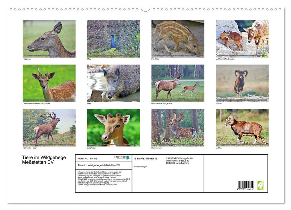 Tiere im Wildgehege Meßstetten EV (CALVENDO Wandkalender 2024)