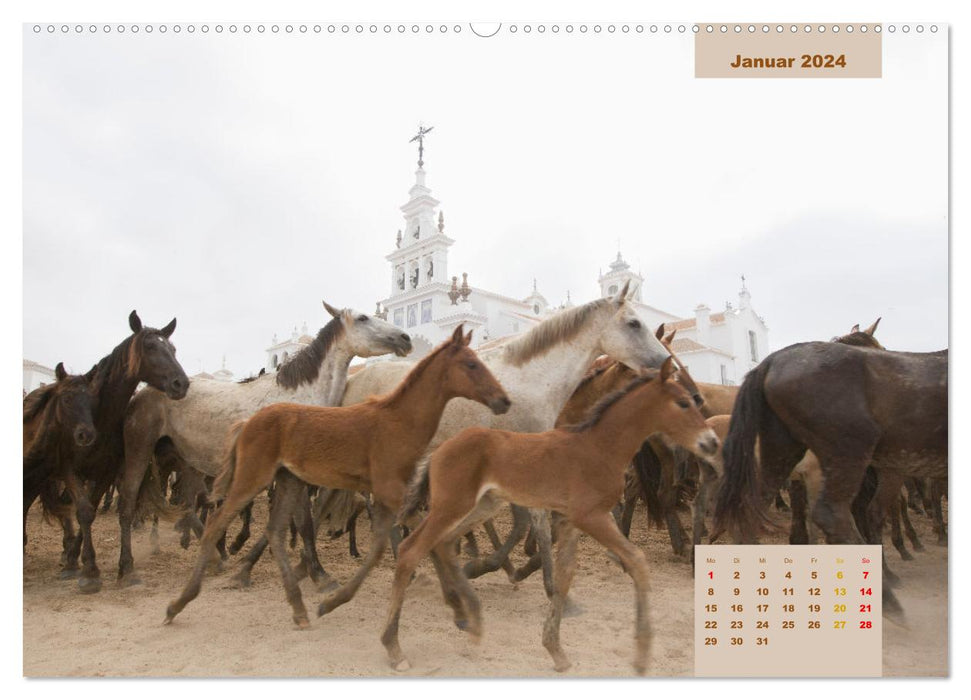 Pferde - Andalusiens wilder Westen (CALVENDO Wandkalender 2024)