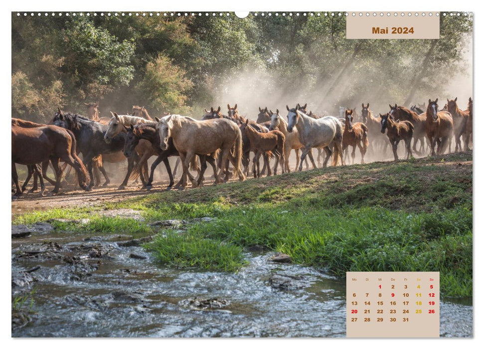 Pferde - Andalusiens wilder Westen (CALVENDO Wandkalender 2024)