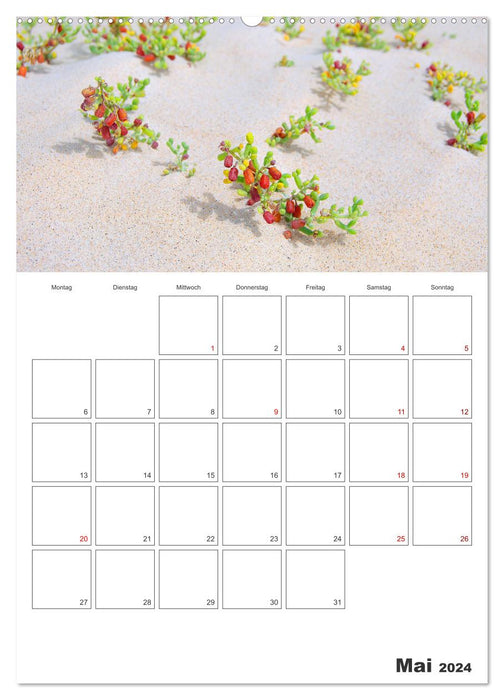 Dünenlandschaft von Boa Vista Urlaubsplaner (CALVENDO Wandkalender 2024)