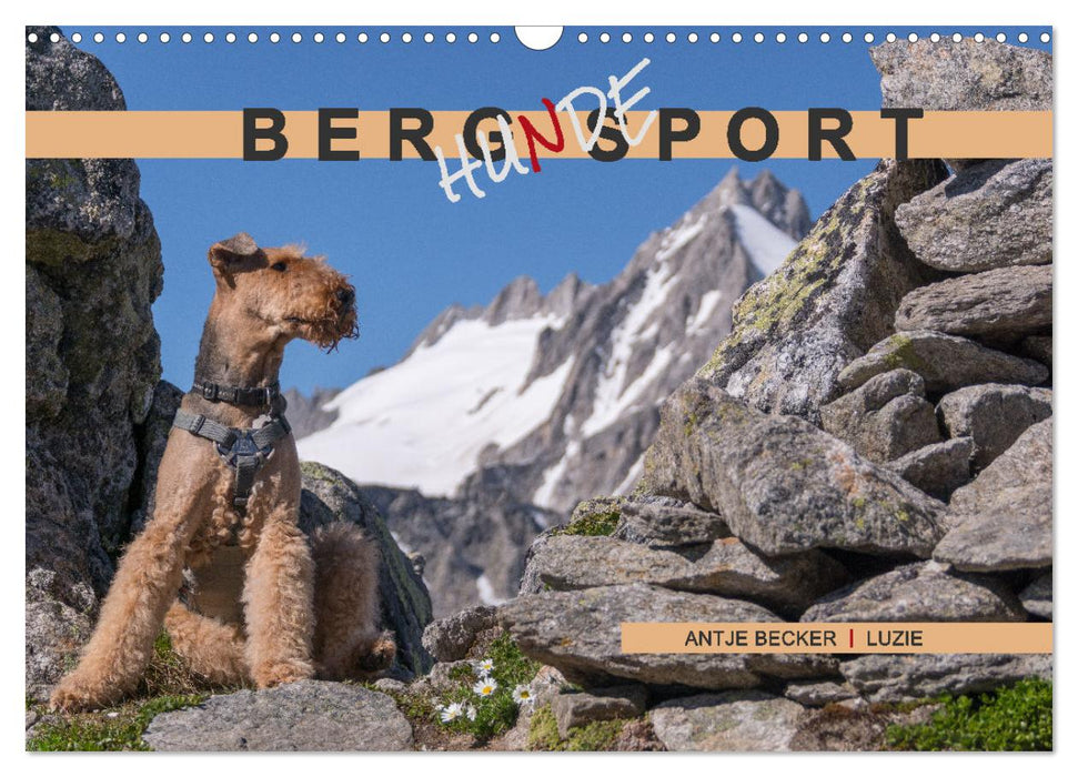 Berg-Hunde-Sport (CALVENDO Wandkalender 2024)
