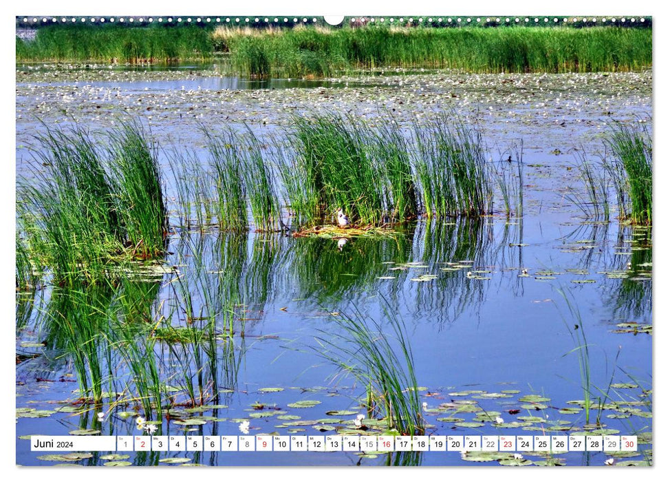 Grünes Europa - Naturparadies Drausensee (CALVENDO Premium Wandkalender 2024)