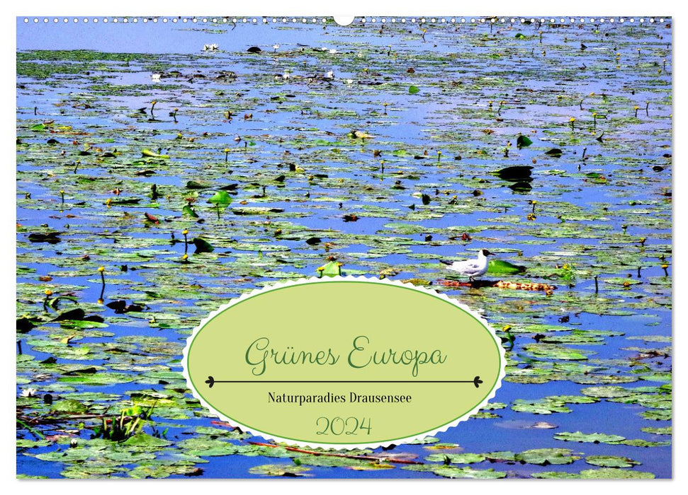 Grünes Europa - Naturparadies Drausensee (CALVENDO Wandkalender 2024)