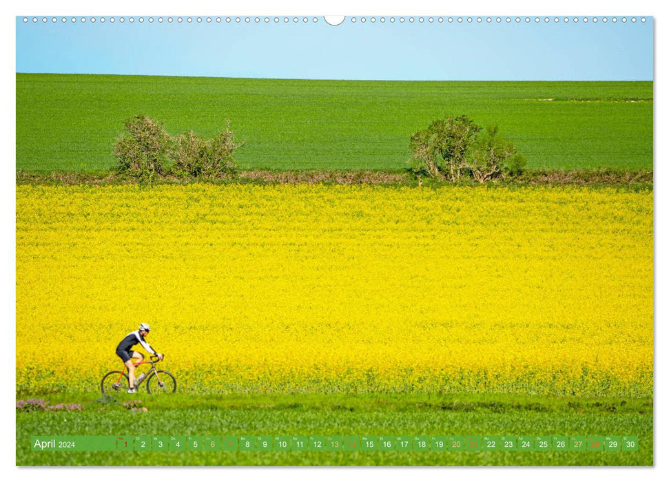 Le soleil dans les rayons - la fascination des vélos de course (calendrier mural CALVENDO 2024) 