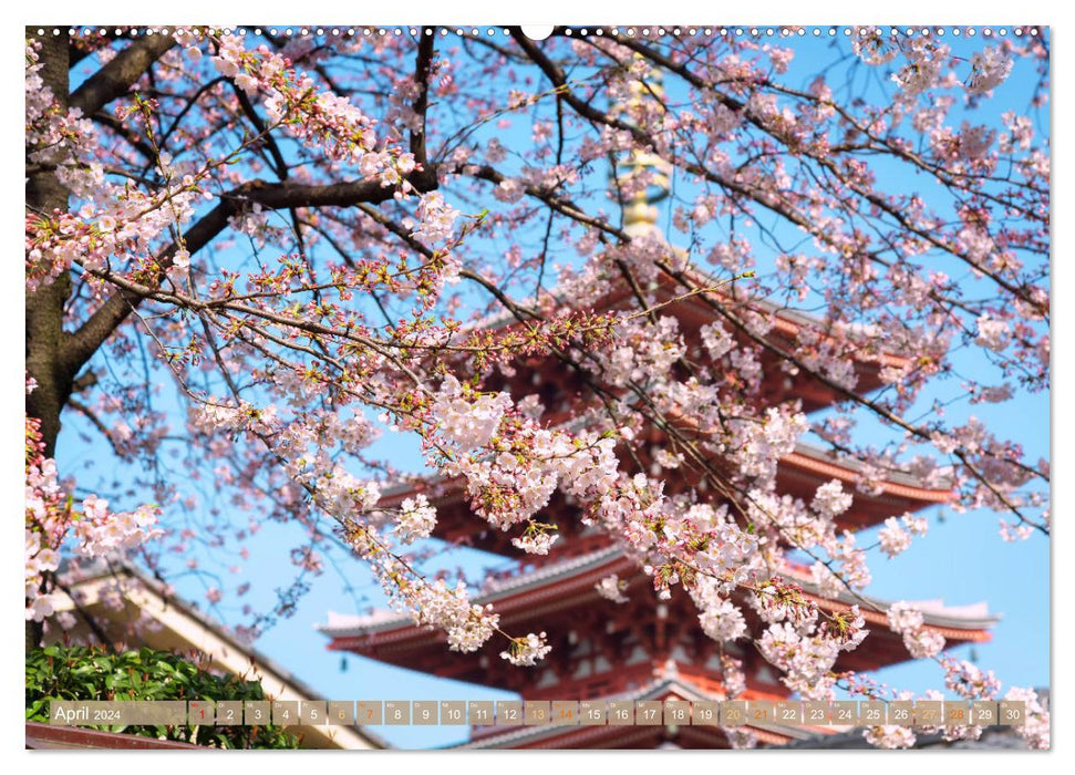 Destinations d'errance et de rêve : découvrez Tokyo (Calendrier mural CALVENDO 2024) 