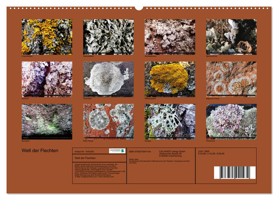 Monde des lichens (Calendrier mural CALVENDO 2024) 