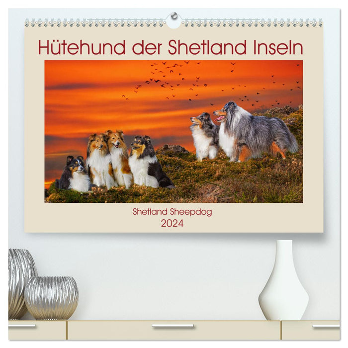 Chien de berger des îles Shetland - Chien de berger des Shetland (Calendrier mural CALVENDO Premium 2024) 