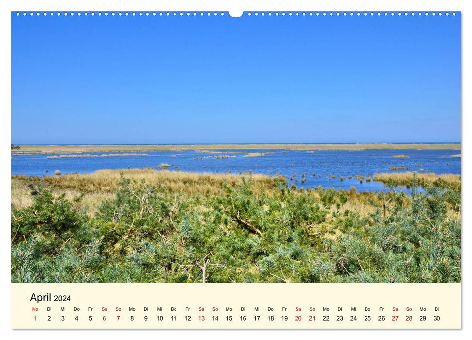 Strände auf dem Fischland-Darß (CALVENDO Wandkalender 2024)