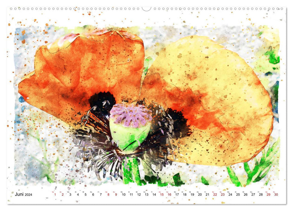 Mohnblüten in Aquarell (CALVENDO Premium Wandkalender 2024)
