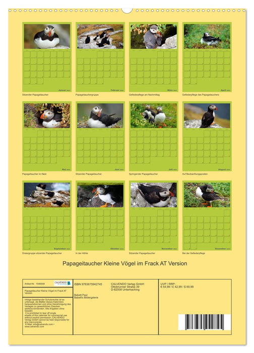 Papageitaucher Kleine Vögel im Frack AT Version (CALVENDO Wandkalender 2024)