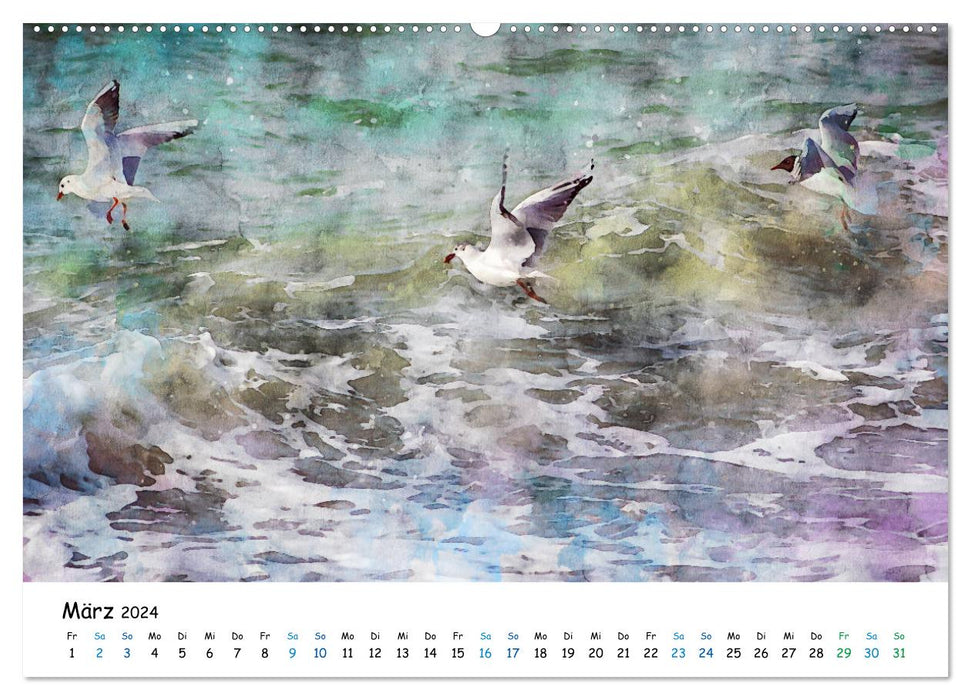 Aquarell Illustrationen vom Darß (CALVENDO Premium Wandkalender 2024)