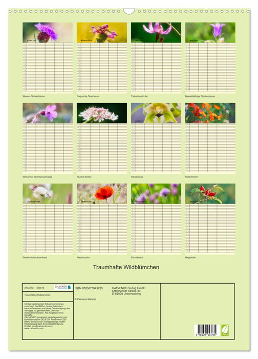 Traumhafte Wildblümchen (CALVENDO Wandkalender 2024)