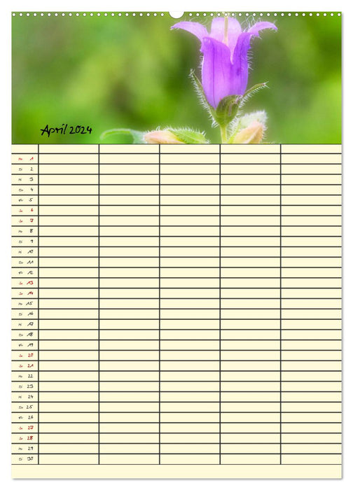 Dreamlike wildflowers (CALVENDO wall calendar 2024) 