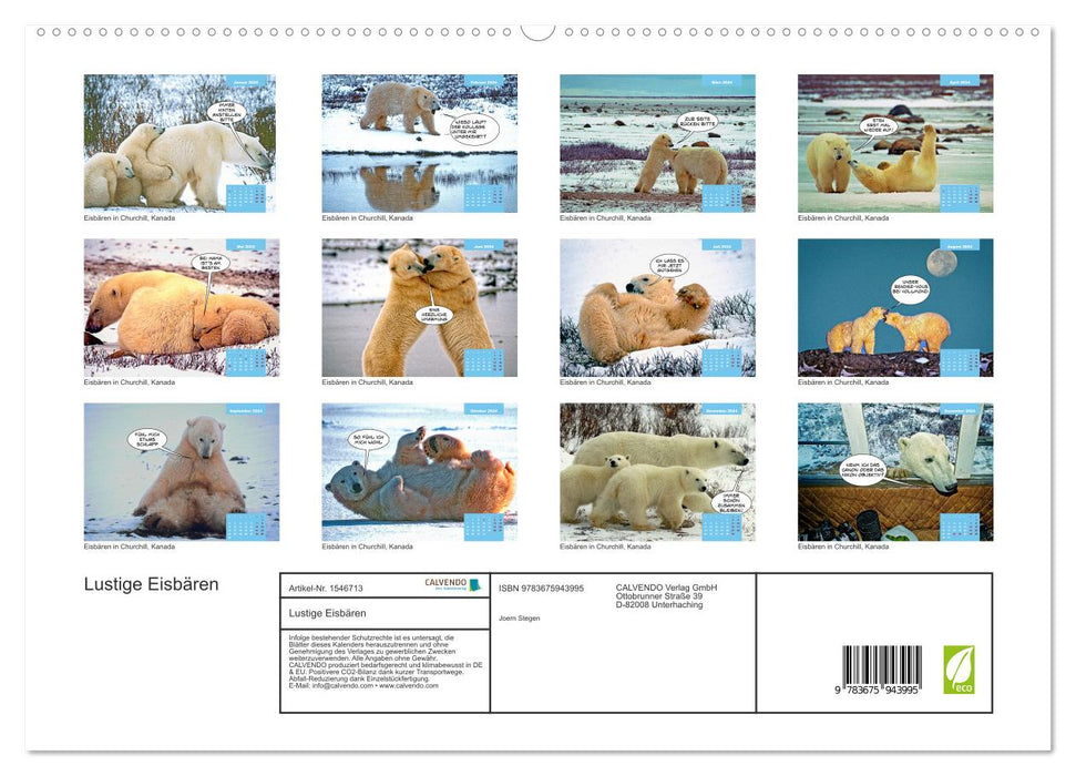 Funny polar bears (CALVENDO Premium Wall Calendar 2024) 