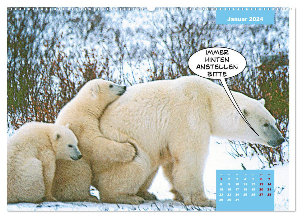 Funny polar bears (CALVENDO Premium Wall Calendar 2024) 